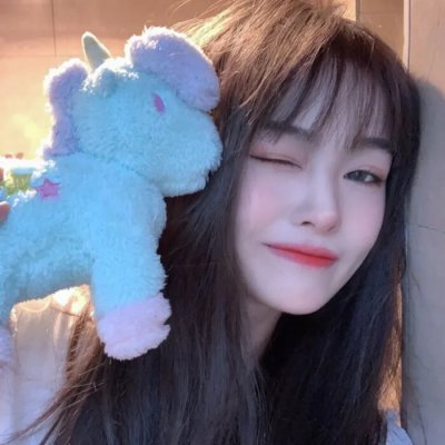 燕子号与亚马逊号